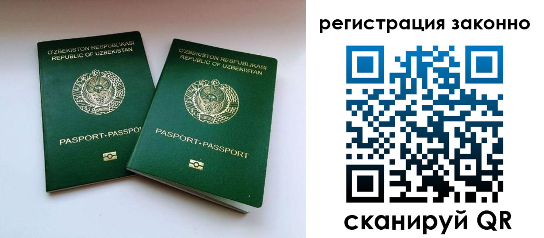 прописка гарантия в Сланцах